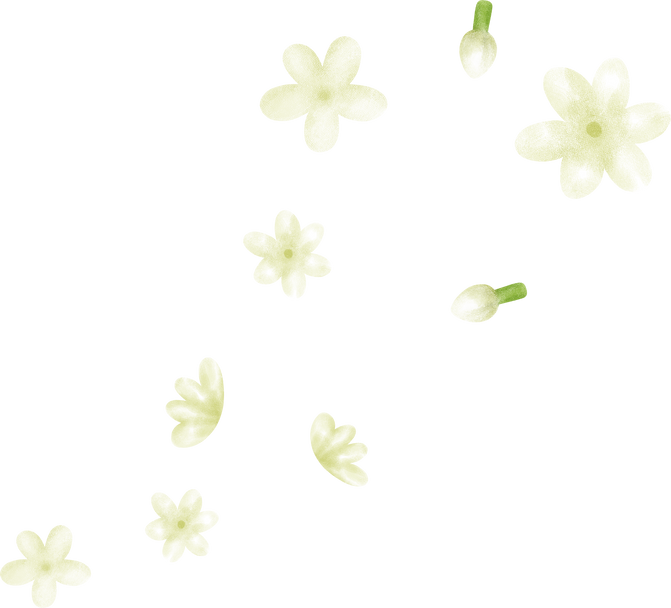 Jasmine flowers fall down